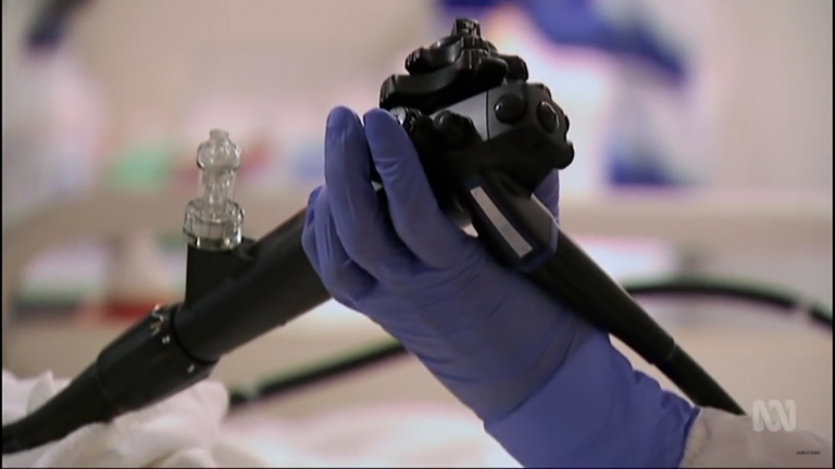 장 건강과 박테리아