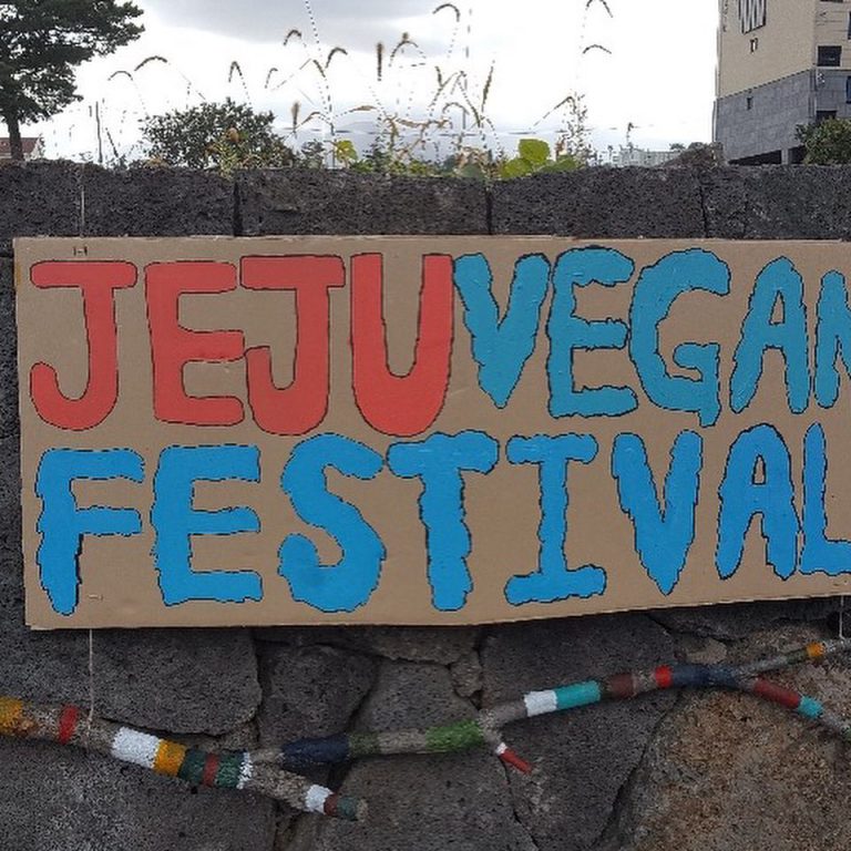 제주 비건위크 성황중