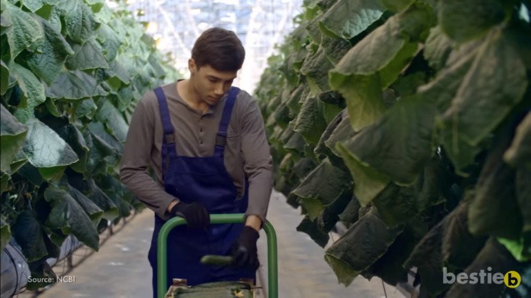 매일 오이를 먹으면 벌어지는 일