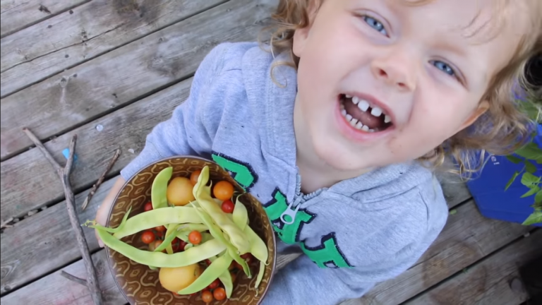 비건 가족이 사는 법