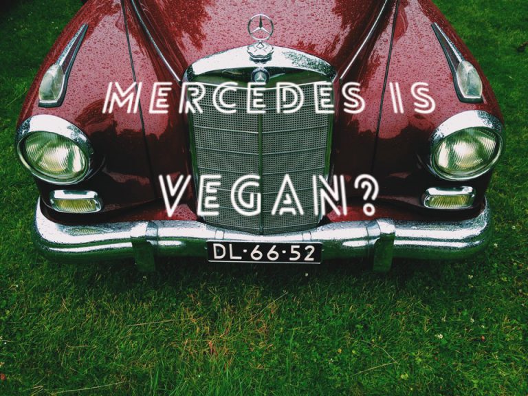 벤츠가 비건이라니