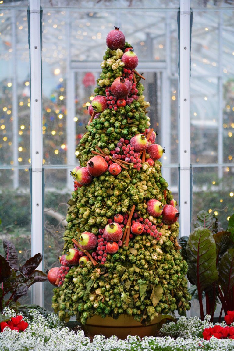 비건 크리스마스 트리 준비하기