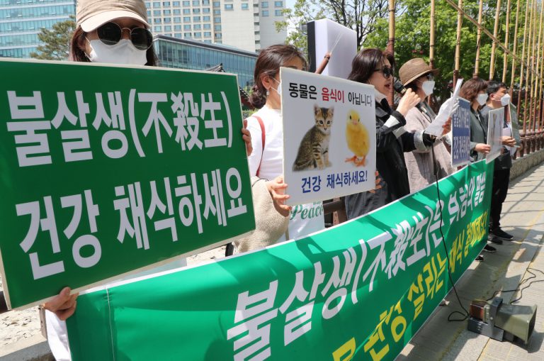 세계환경의 날! 지구를 위해 채식하세요