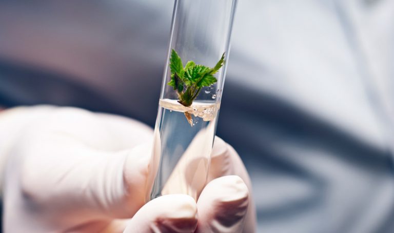 식물기반 식품혁신대회가 열릴예정