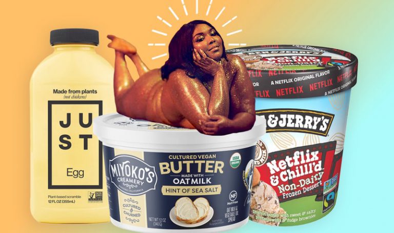 리조는 지금 채식주의자