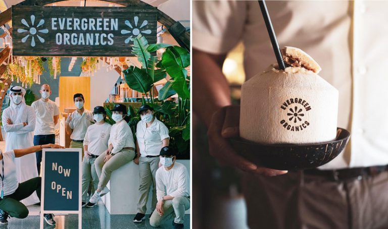 카타르 국제 공항에 비건 카페 오픈