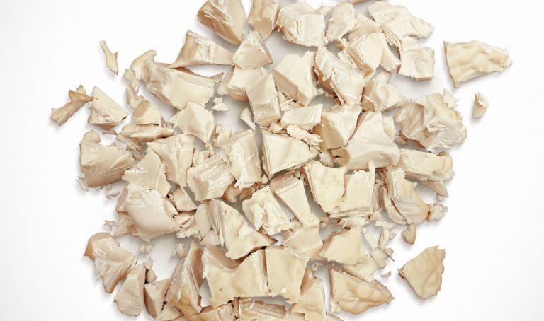 개와 고양이를 위한 도축없는 치킨