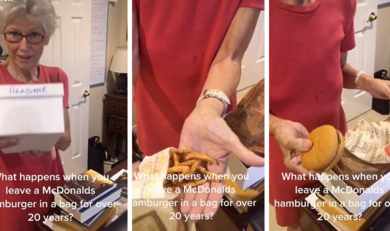 24년 된 맥도날드 버거, 틱톡에서 화제