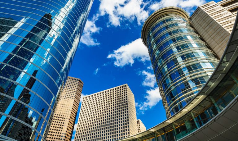 가장 비건 친화적인 도시는 어디일까?