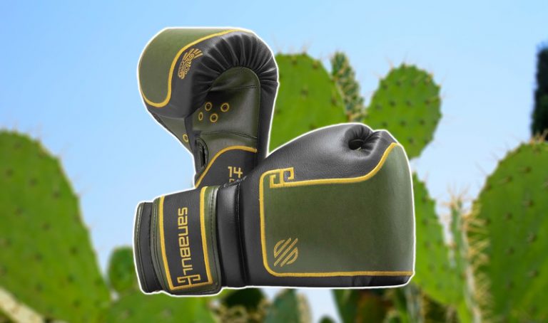 세계 최초의 선인장 가죽을 사용한 글러브