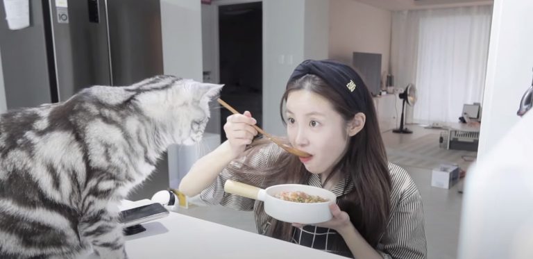 전효성의 채식 요리!