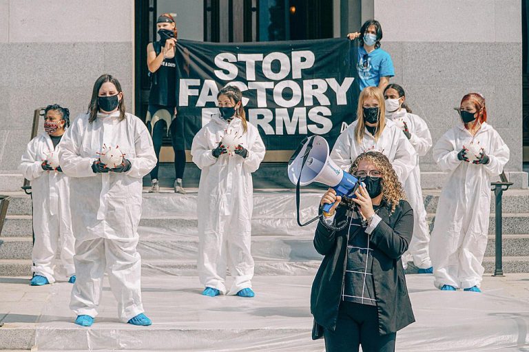 [베지토크1] DxE 활동 어떻게 생각해?