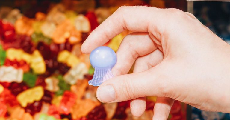 세포농업 젤라틴 회사 설립되다