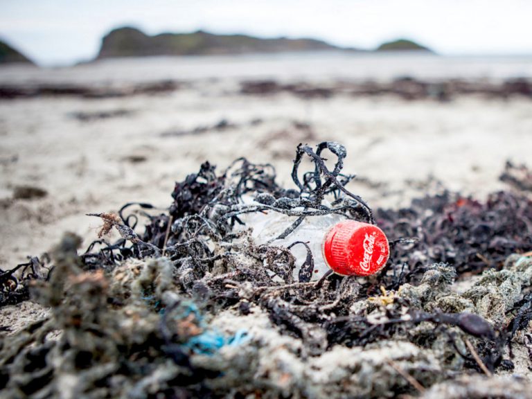 어스 아일랜드, 코카콜라 고소