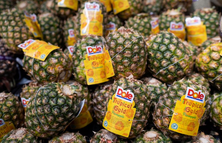 돌, 파인애플 가죽 회사 제휴