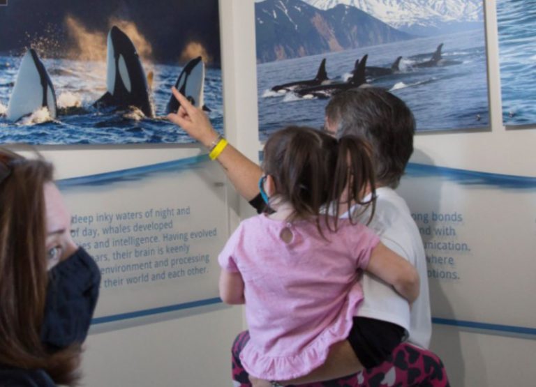 북미 최초의 고래 보호구역 프로젝트