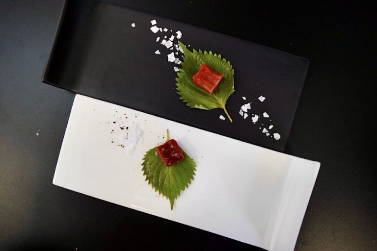 중국 육류 세포 농업 포럼 행사 열리다