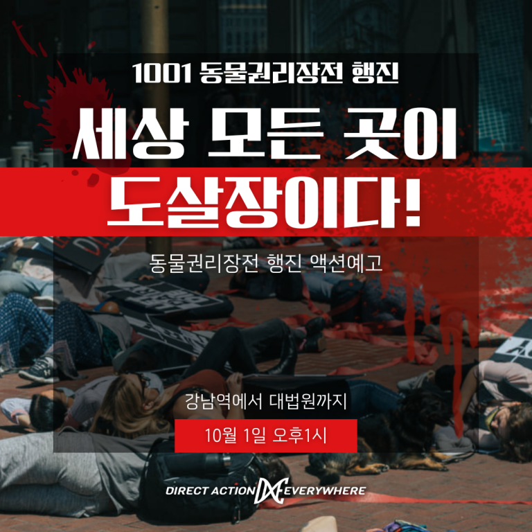 DxE 글로벌 액션에 참가해주세요