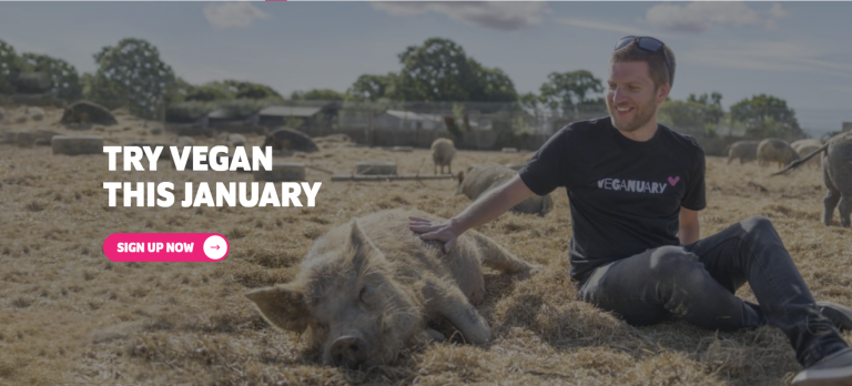 비거뉴어리 10주년