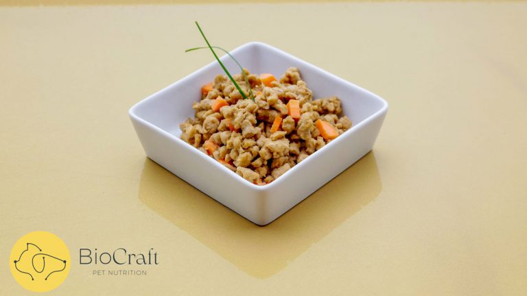 Because Animals - src=