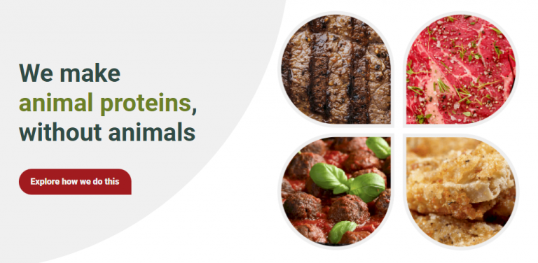 벨기에 스타트업 팔레오, 식물성 반려동물 사료 시장 진출