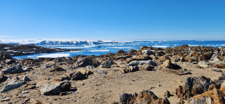 남극 장보고기지, 1월 최고 기온 8.1℃ 기록…역대 최다