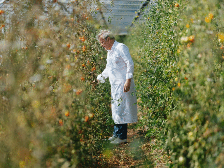 왜 셰프들이 채소를 선택하는가?