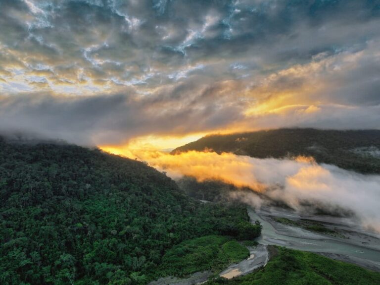 아마존 숲의 파괴가 불러온 비의 실종